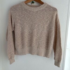 Everlane Classic Beige Crew Neck Sweater